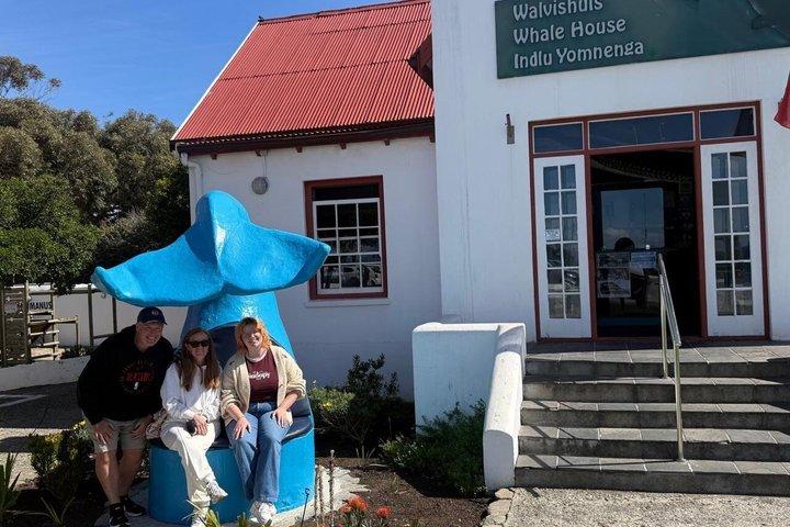 Boat Based Whale Watching from Hermanus