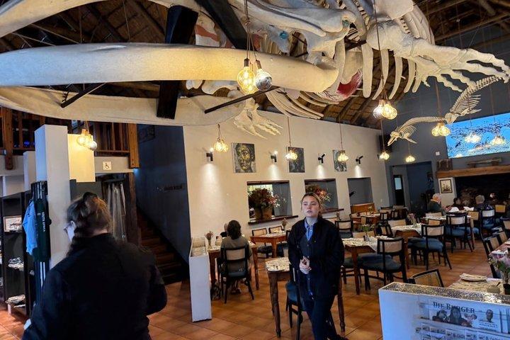 Shared Hermanus Boat Based Whale Watching and Penguin Adventure
