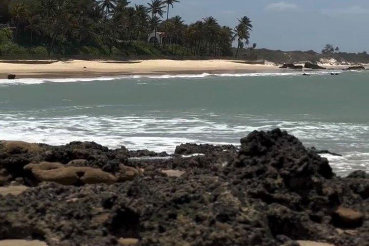 フォルタレザの海岸から出発する、日帰りパラクルツアー。