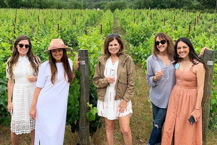 Small-Group (8 max) All-Inclusive Santa Barbara Wine Tour