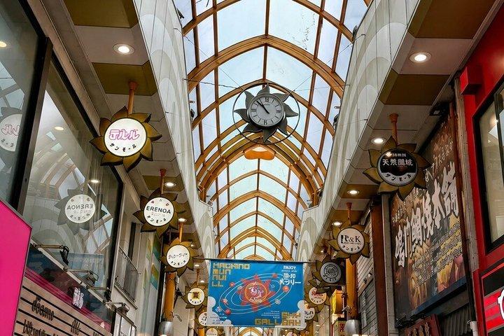 Explore Tokyo Robot cafe Experience and Nihonbashi Tour