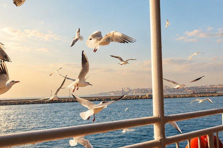 地元の人のように食べる: トルコの多様な食文化について学ぶ