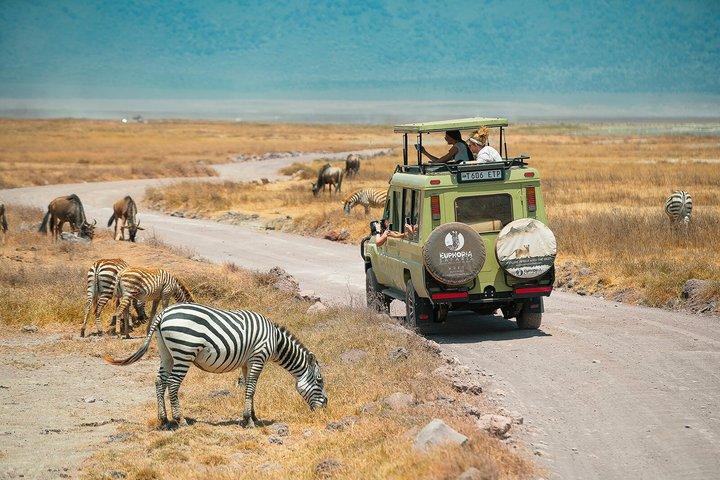 Ngorongoro Crater-dagtrip