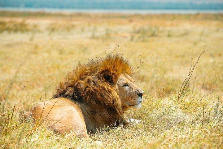 Ngorongoro Crater-dagtrip