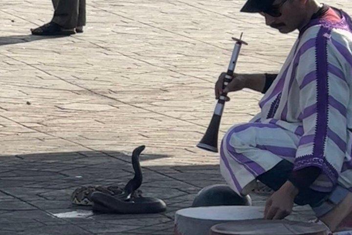 カサブランカ発マラケシュ日帰りツアー 宮殿 スーク メディナ