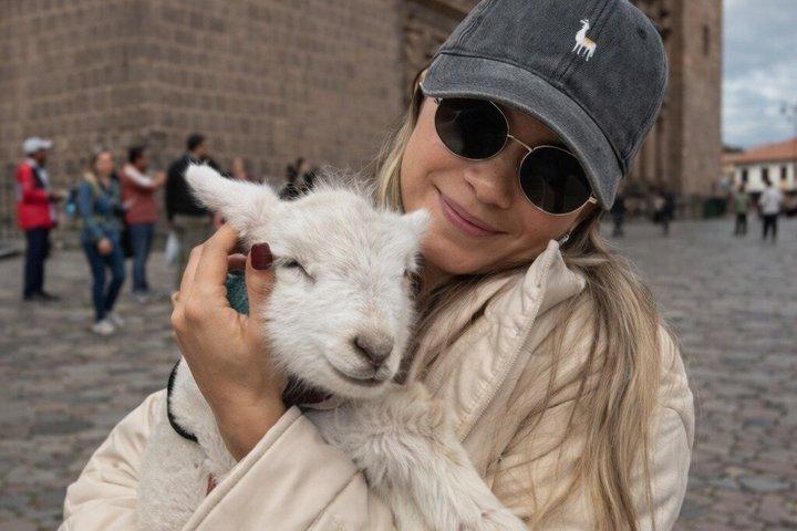 サン・ペドロ市場、コリカンチャ、4つの遺跡を巡るプライベート市内観光ツアー