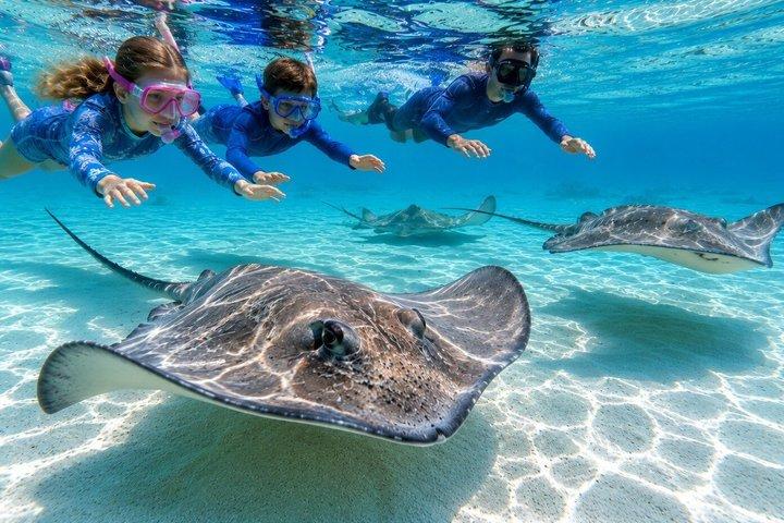 Grand Cayman Family Boat Tour Stingray City Sjöstjärna och mer