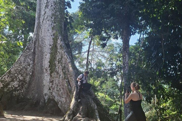 モンキーアイランド、アマゾン川、在来水生生物 - すべてのチケット