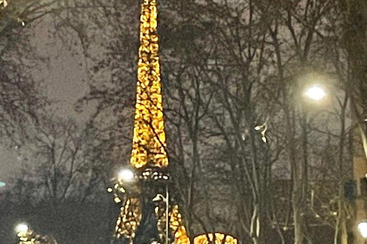 エッフェル塔近くの自宅でクリスマスとイブのディナーをお祝いしましょう。