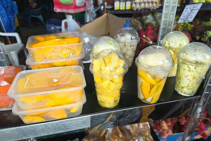 パナマシティからエルバレーデアントンへのグループバスツアー