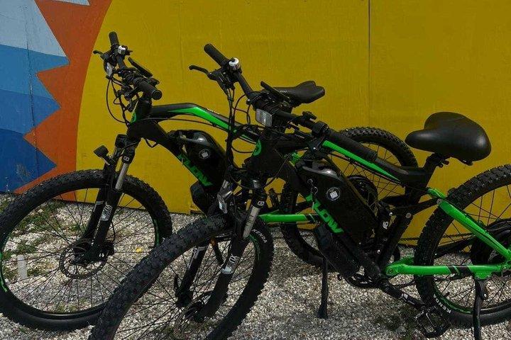 フォートマイヤーズビーチでの電動自転車1日レンタルクラス3
