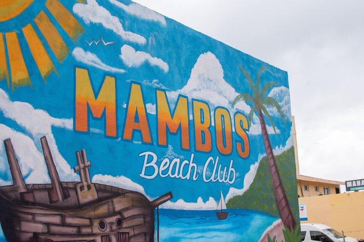 コスタ・マヤ・ショア・エクスカージョン チャッチョベン・マヤ遺跡とビーチブレイク