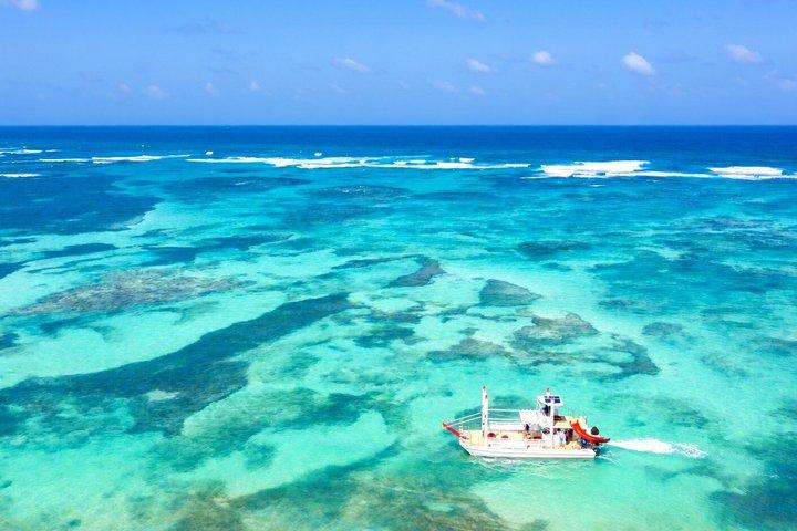 プンタカナプライベートカタマランクルーズシュノーケリング＆オープンバー付き