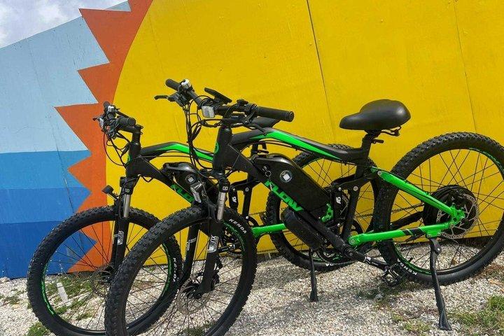 2 Days Class 3 Electric Bike Rentals in Fort Myers Beach