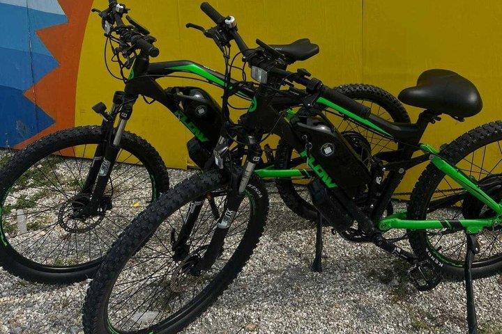 フォートマイヤーズビーチでの3日間電動自転車レンタル