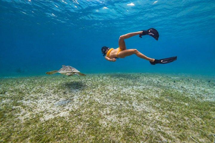 Icacos oder Vieques All-Inclusive Schnorcheln & Wasserrutschen Bootstour