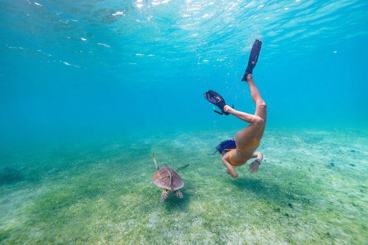 Icacos oder Vieques All-Inclusive Schnorcheln & Wasserrutschen Bootstour