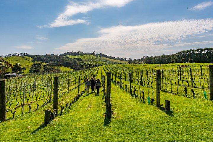 Private Waiheke Food & Wine Tour