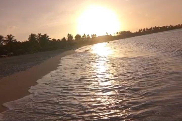 Reiten in Punta Cana & Stranderlebnis in Macau