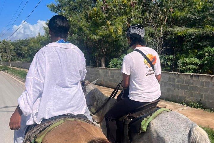 Reiten in Punta Cana & Stranderlebnis in Macau