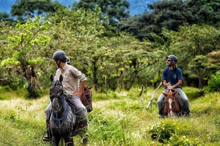 アレナル火山基地周辺の乗馬