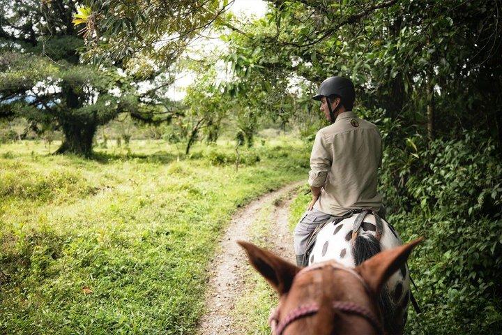 アレナル火山基地周辺の乗馬
