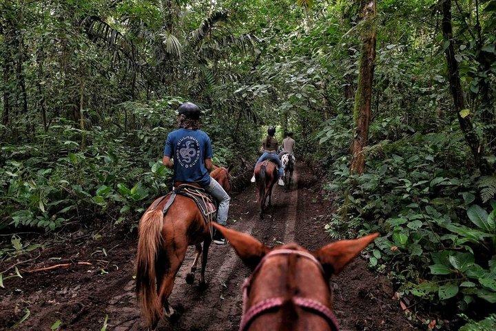 アレナル火山基地周辺の乗馬