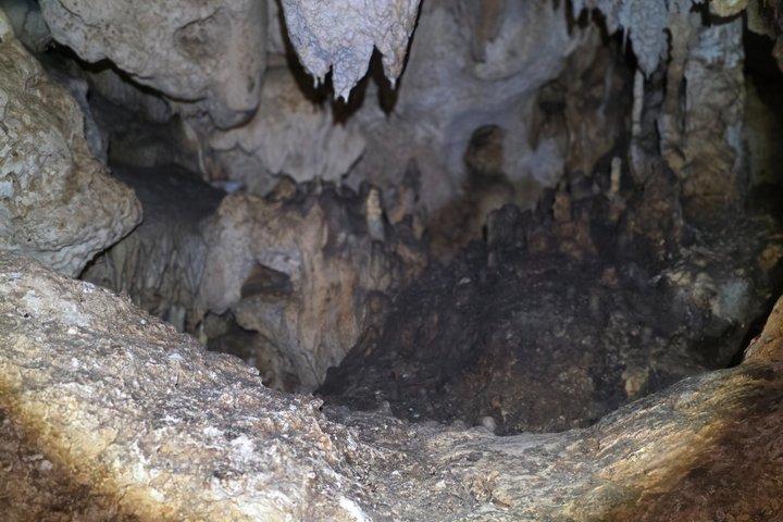 Cenote and Cave Aktun Bej Underground Dream Cenote