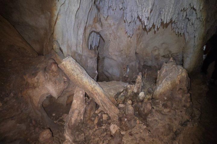 Cenote and Cave Aktun Bej Underground Dream Cenote