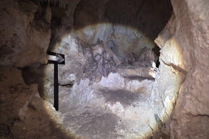Cenote and Cave Aktun Bej Underground Dream Cenote