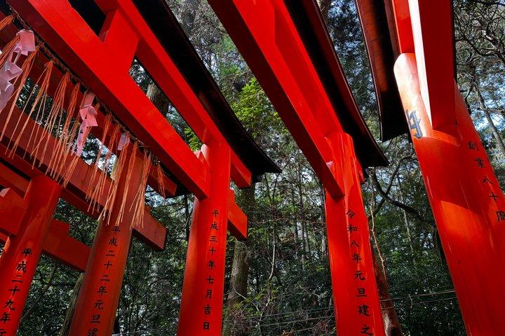 伏見稲荷プライベートツアー：隠れた小道、鳥居と神聖な歴史
