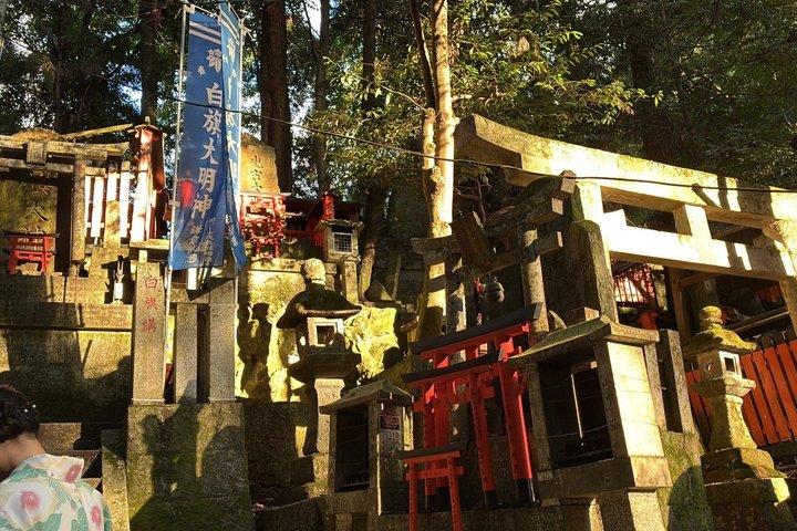 伏見稲荷プライベートツアー：隠れた小道、鳥居と神聖な歴史