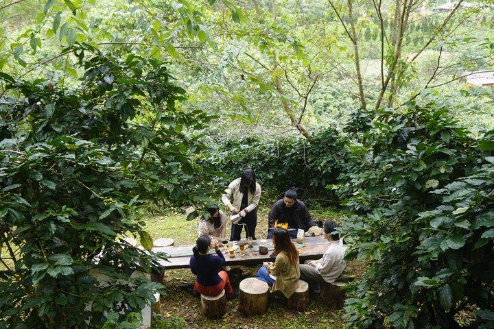 Coffee Farm Tour with Roasting & Tasting Workshop - Da Lat