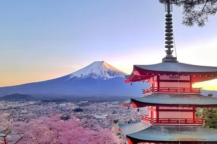 東京発富士山プライベートツアー（英語対応ドライバー付き）