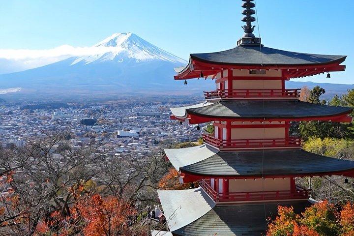 東京発富士山プライベートツアー（英語対応ドライバー付き）