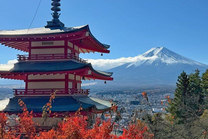 東京発富士山プライベートツアー（英語対応ドライバー付き）