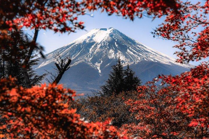 東京発富士山プライベートツアー（英語対応ドライバー付き）