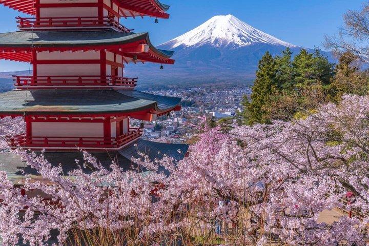 Passeio Privado ao Monte Fuji a partir de Tóquio com Motorista de língua inglesa
