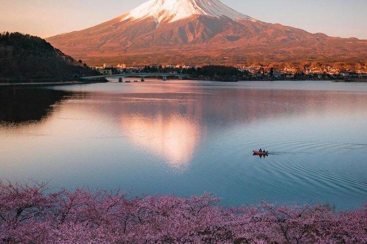 東京発富士山プライベートツアー（英語対応ドライバー付き）