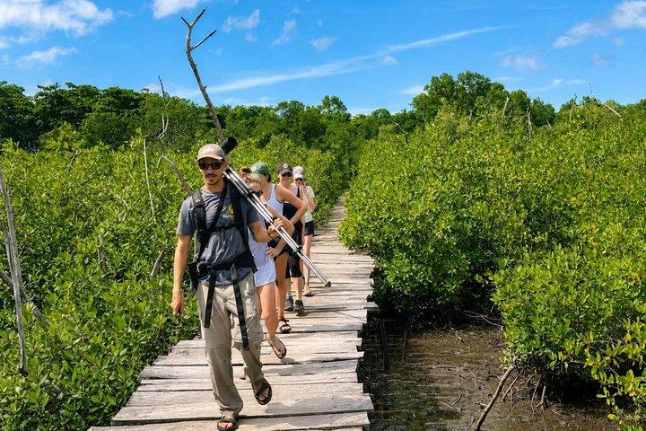 Avellanas Wildlife Walk near Tamarindo with a Local Naturalist