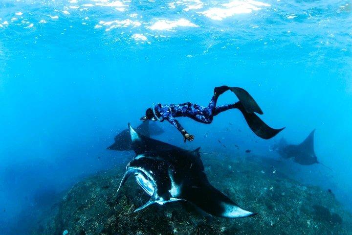 Snorkelen, Zwemmen met Manta's en Verkennen van West Nusa Penida