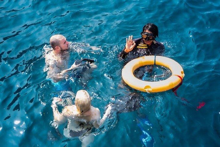 シュノーケリング、マンタと泳ぎ、西ヌサペニダを探索
