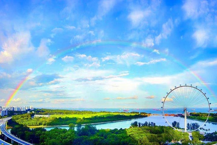 Singapore Flyer Observation Wheel Ticket