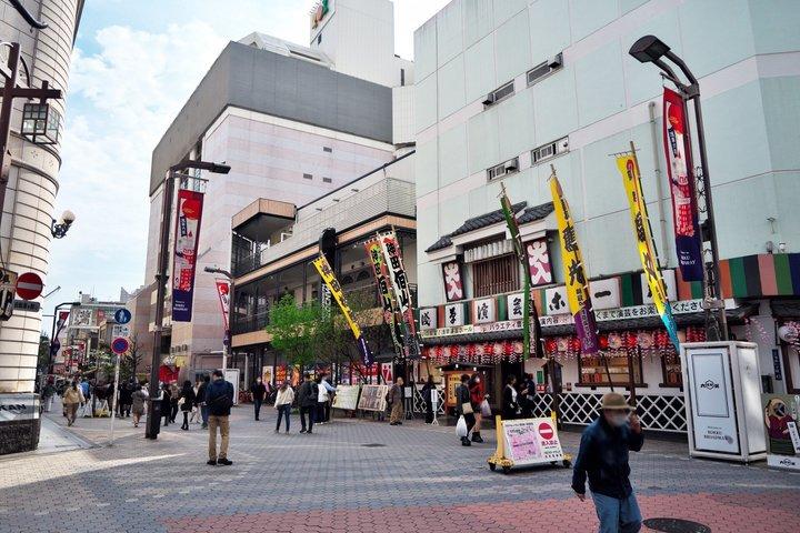 浅草の全体像を把握する歴史散策：少人数またはプライベート
