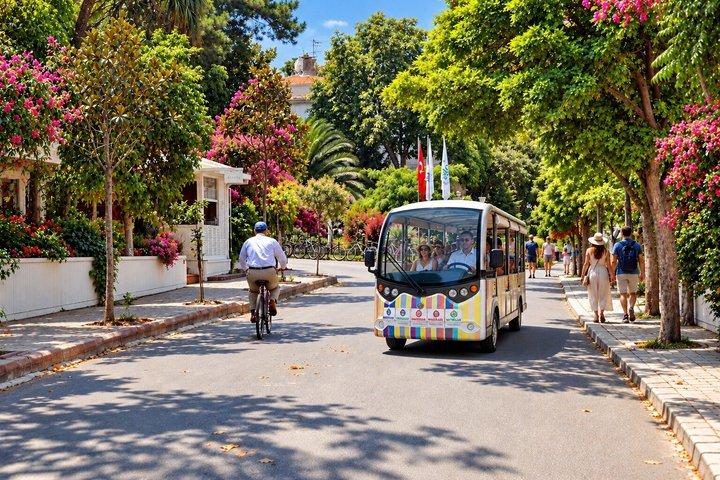 Excursion aux Îles Princes AVEC Bateau Privé, en option Pick-up & Lunch