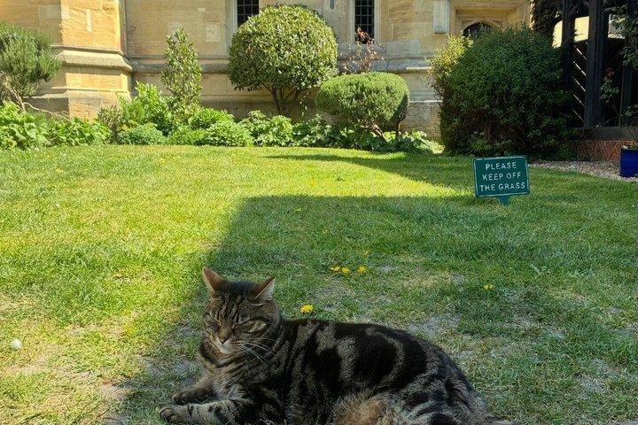 Private Walking Tour with Accredited Expert Guide Windsor Castle