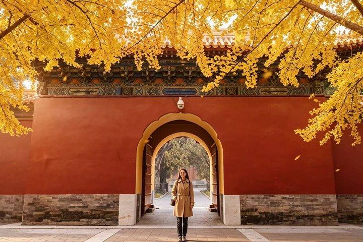 Beijing: Zhongshan Park Entrance Ticket