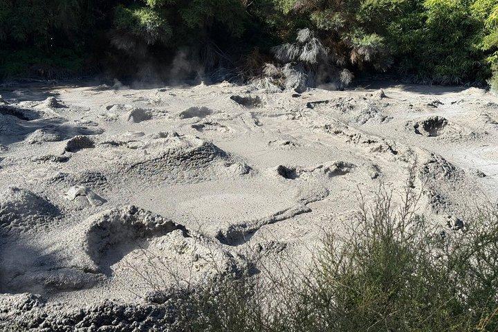 テプア・ロトルア地熱谷キウィ＆マオリ文化チケット