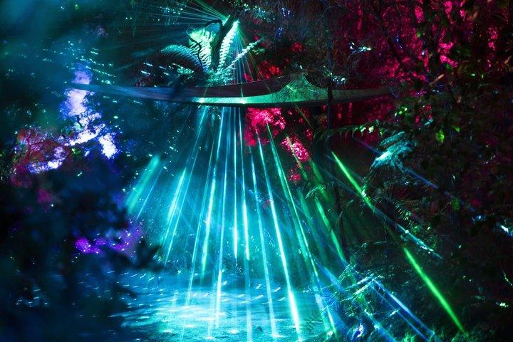 テプア・ロトルア地熱谷キウィ＆マオリ文化チケット