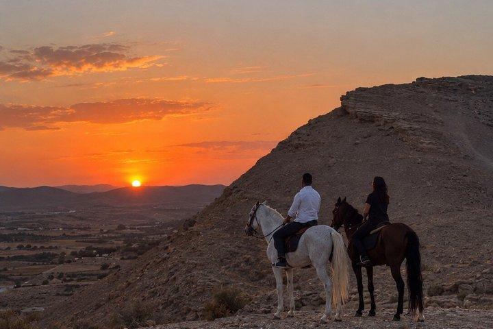 Marrakech Privat ridning i Agafay ørkenen og middag show